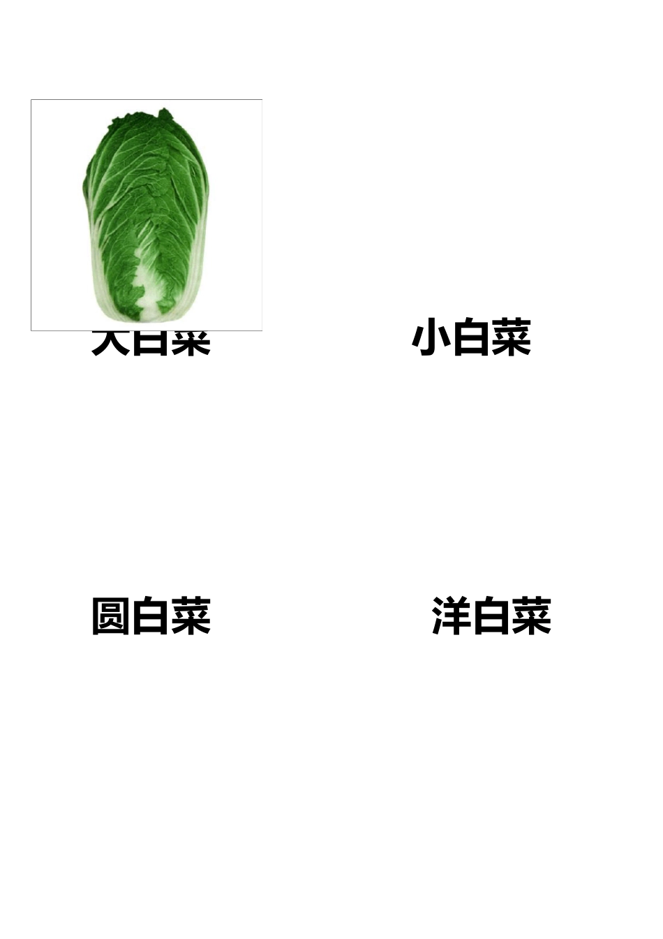 各种蔬菜图片总汇_第2页