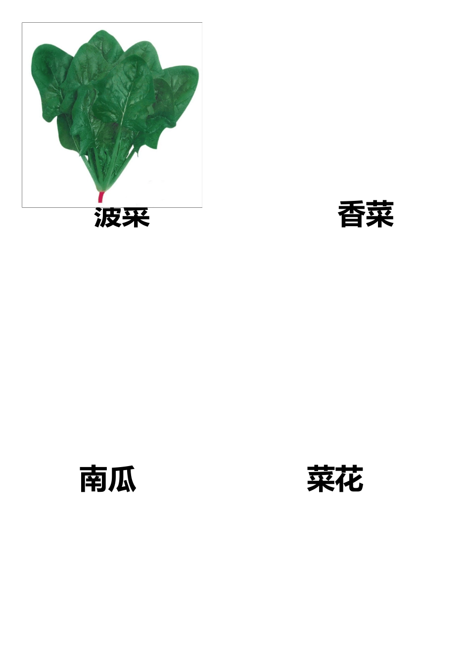 各种蔬菜图片总汇_第3页