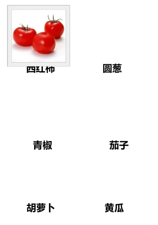 各种蔬菜图片总汇