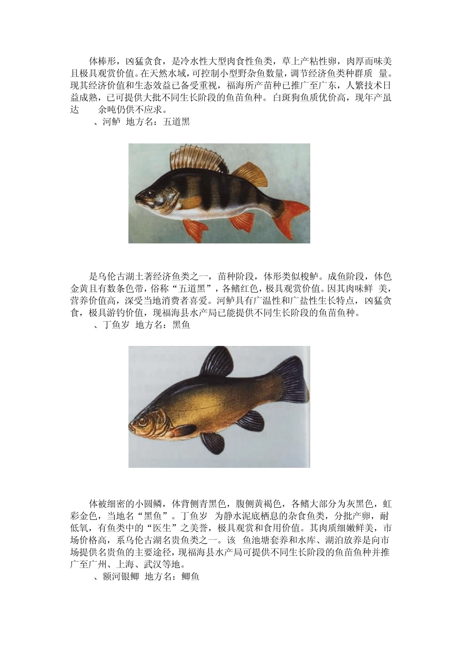 各种鱼类图谱_第2页