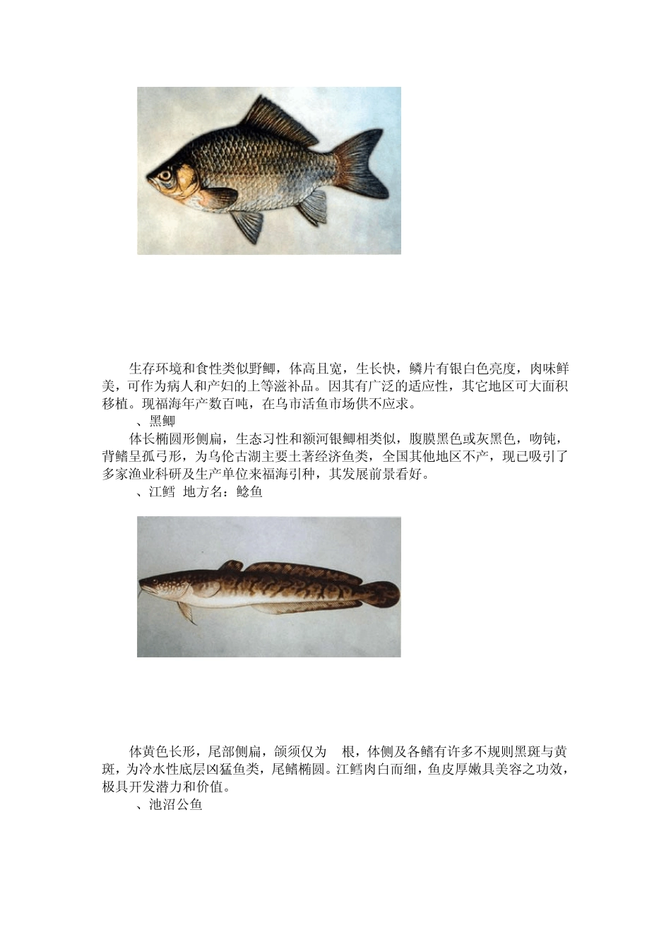 各种鱼类图谱_第3页