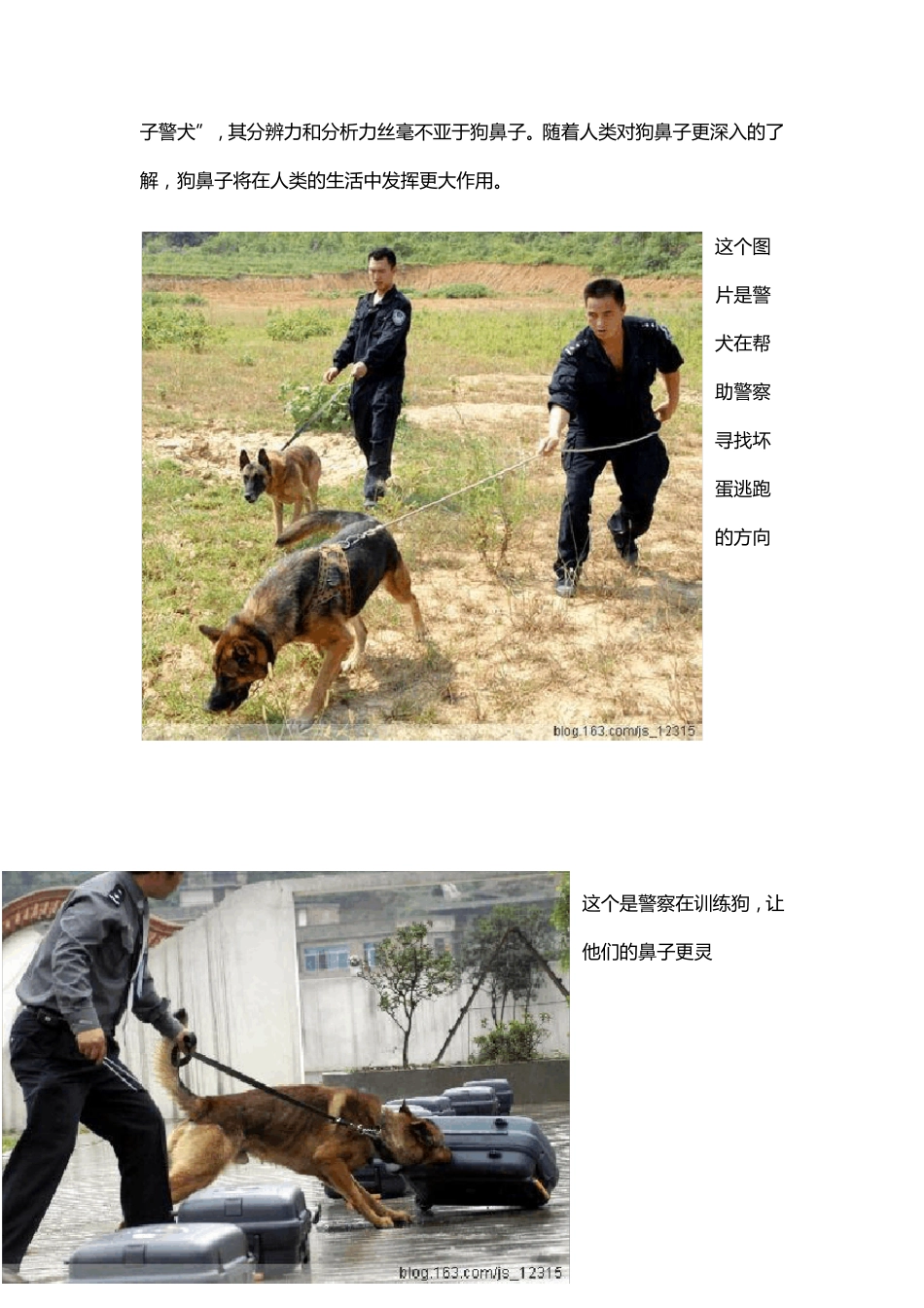 各类动物的鼻子_第2页