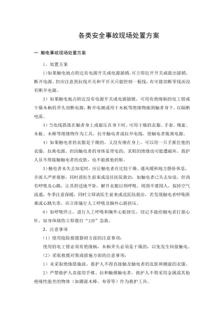 各类安全事故现场处置方案