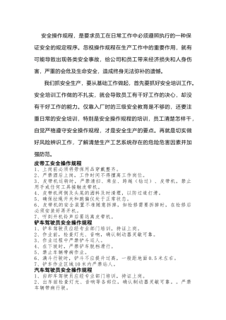 某公司安全操作规程总结