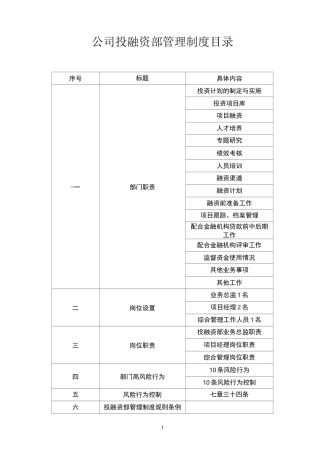 投融资管理制度(初定本)模板