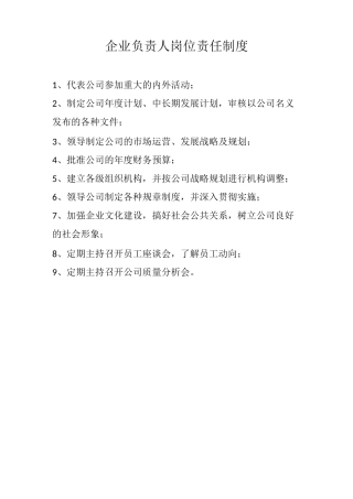 企业负责人岗位责任制度