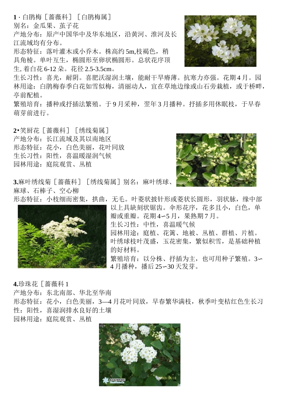 50种木本植物_第2页