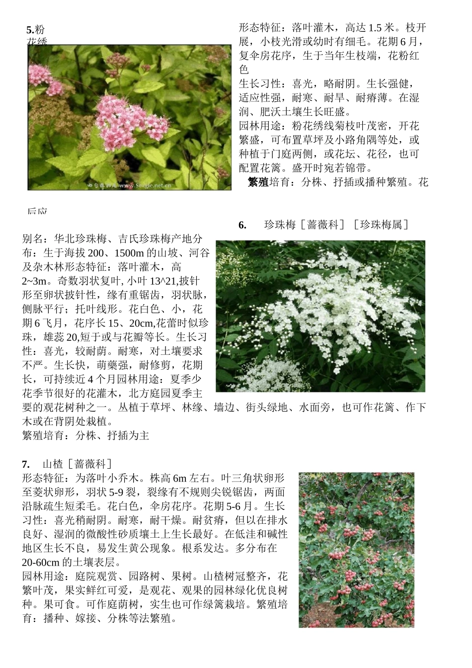 50种木本植物_第3页