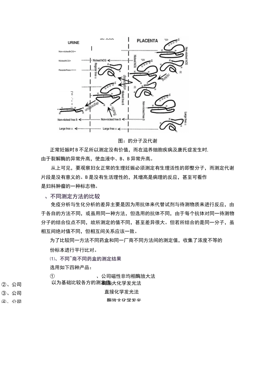 HCG绒毛膜促性腺激素临床意义_第2页