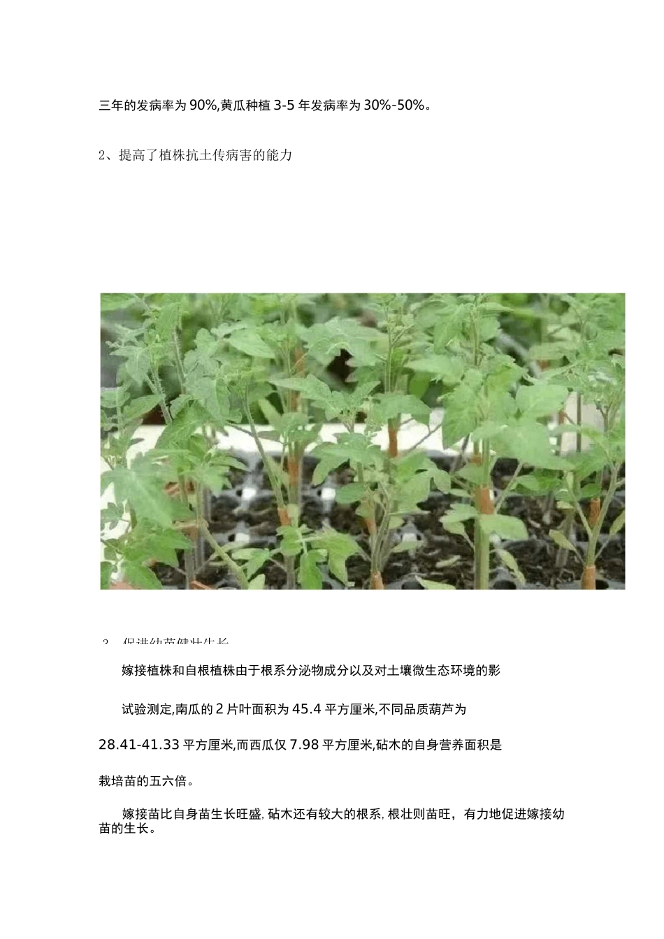 蔬菜嫁接技术详解_第2页