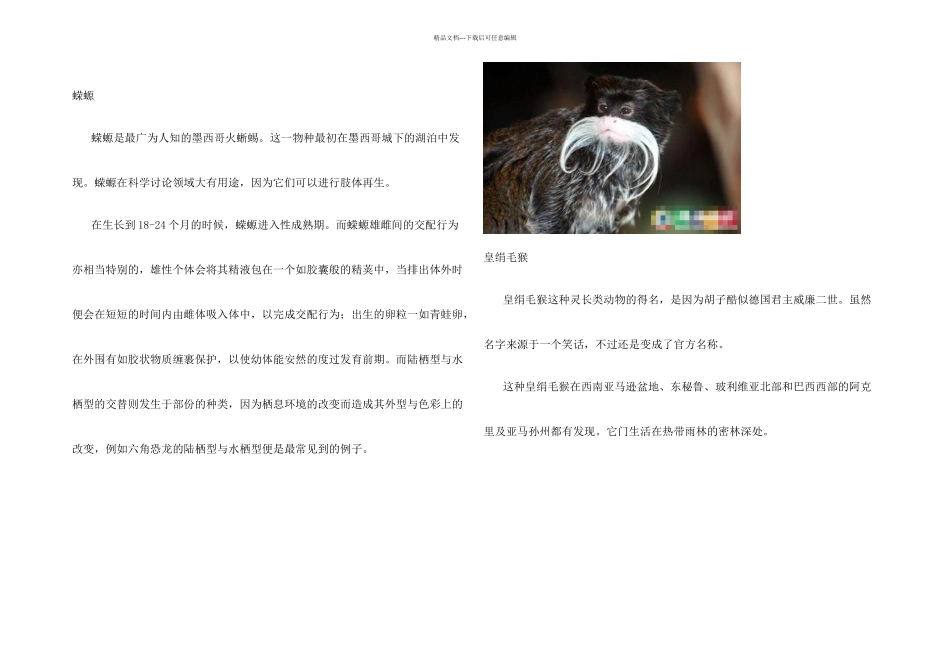 o地球上最为奇特的动物_第1页