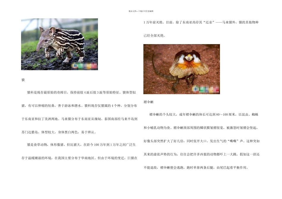 o地球上最为奇特的动物_第2页