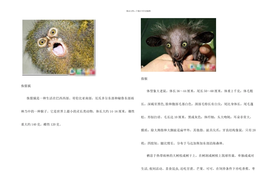 o地球上最为奇特的动物_第3页