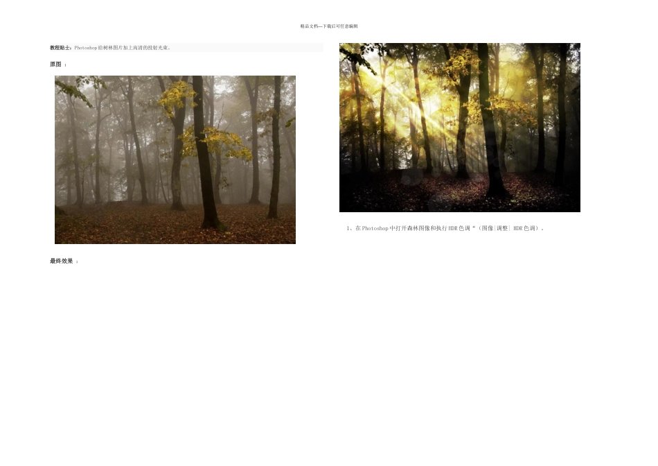 Photoshop给树林图片加上高清的投射光束_第1页