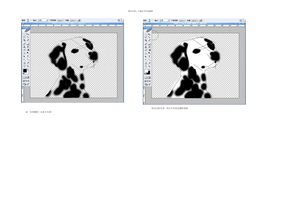 Photoshop鼠绘实例可爱的斑点狗_第2页