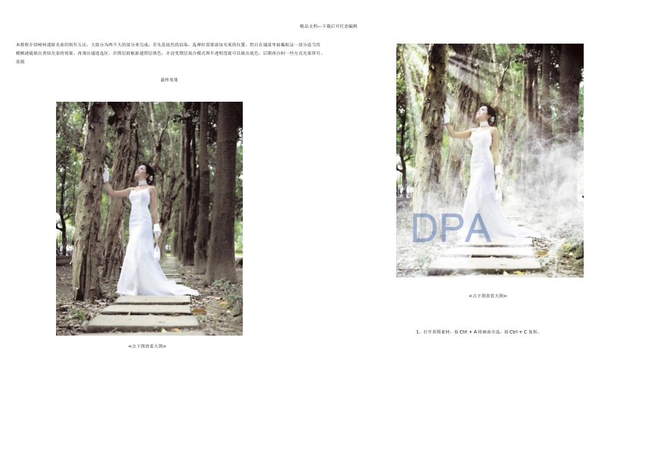 PhotoShop给树林照片添加逼真的透视光线_第1页