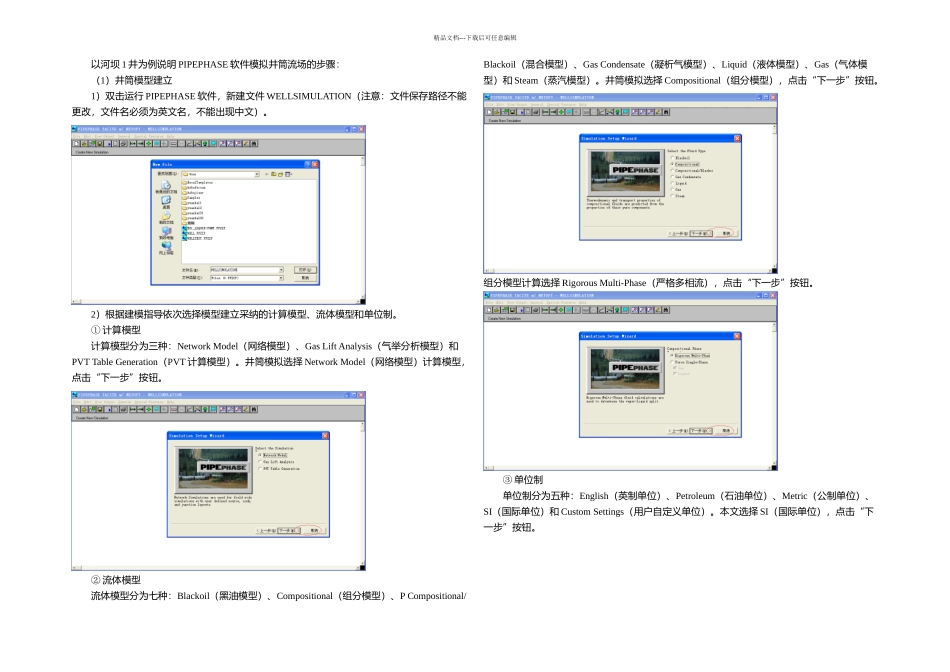 PIPEPHASE软件使用说明_第1页