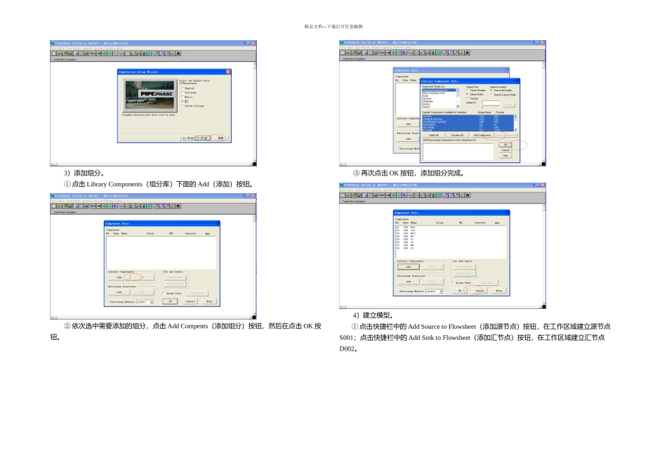 PIPEPHASE软件使用说明_第2页