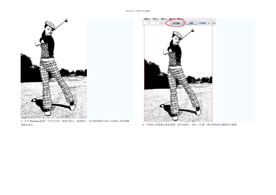 PS与AI结合制作逼真的矢量人物图片_第3页