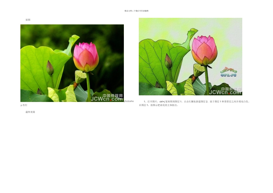 PS把荷花图片转为逼真的工笔画效果_第1页