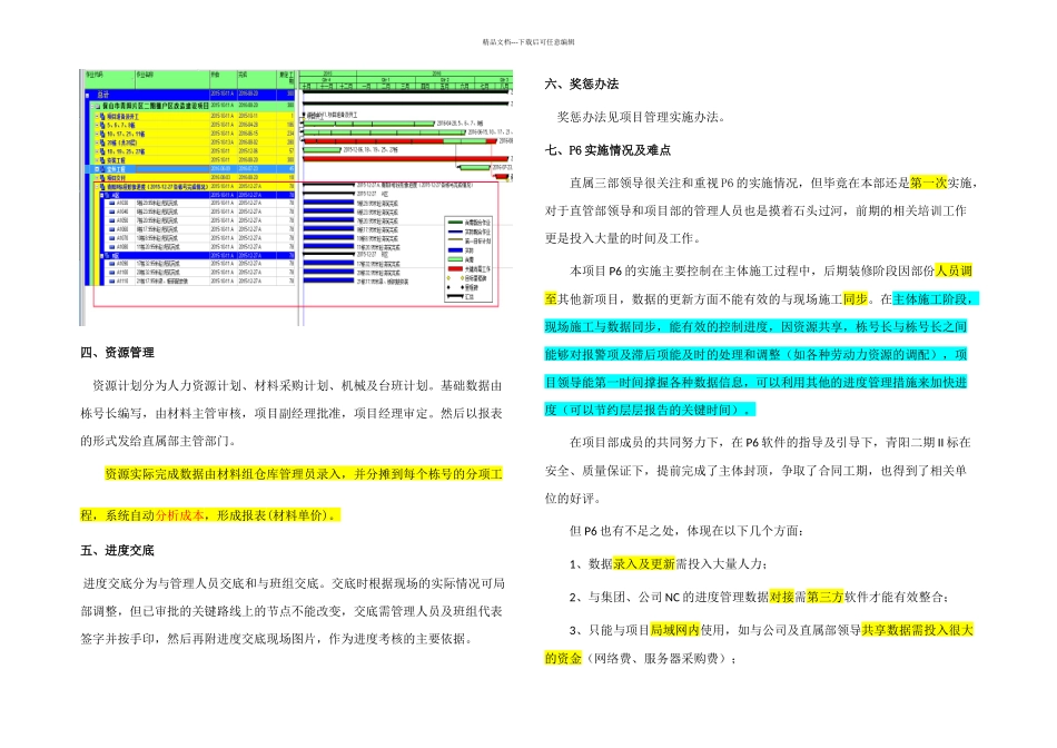 P实施情况及效果总结_第2页