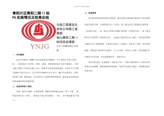 P实施情况及效果总结