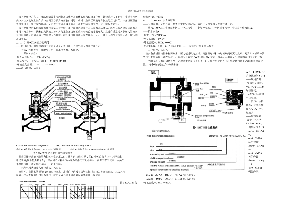 RMG调压装置操作维护规程_第2页