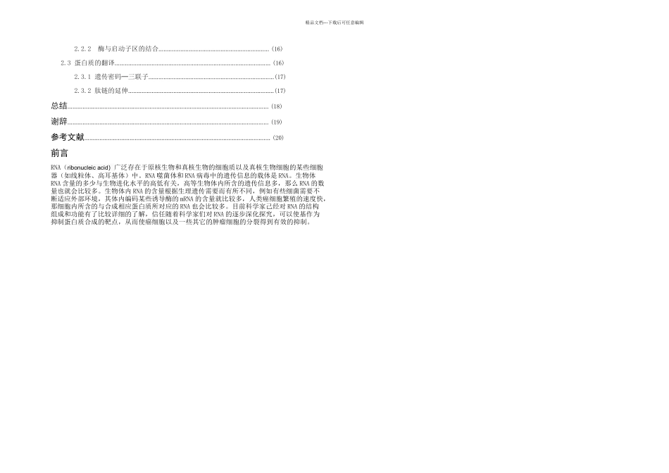 RNA的结构与功能_第2页