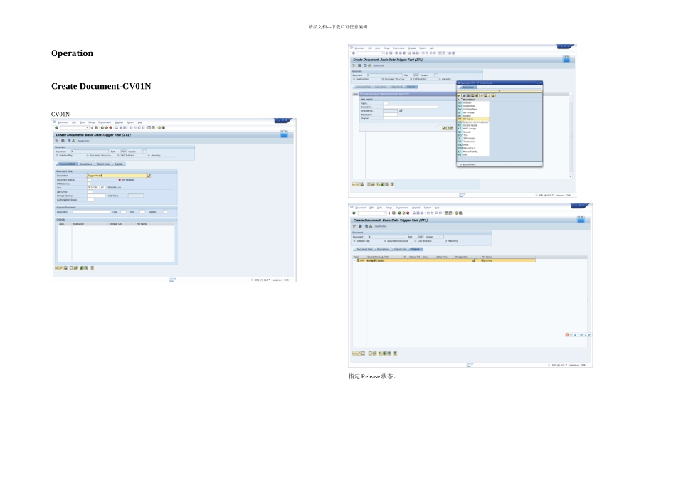 SAPDMSSAP文档管理系统DMS配置及操作手册Vtriggerlau_第3页