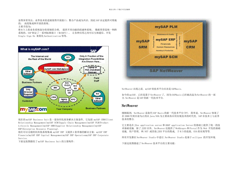 SAP发展历史与技术介绍_第2页