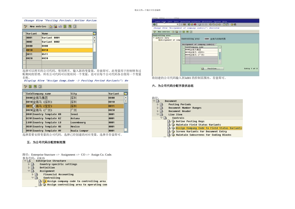 SAP财务后台配置_第3页
