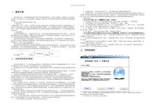 SOCKS代理使用手册