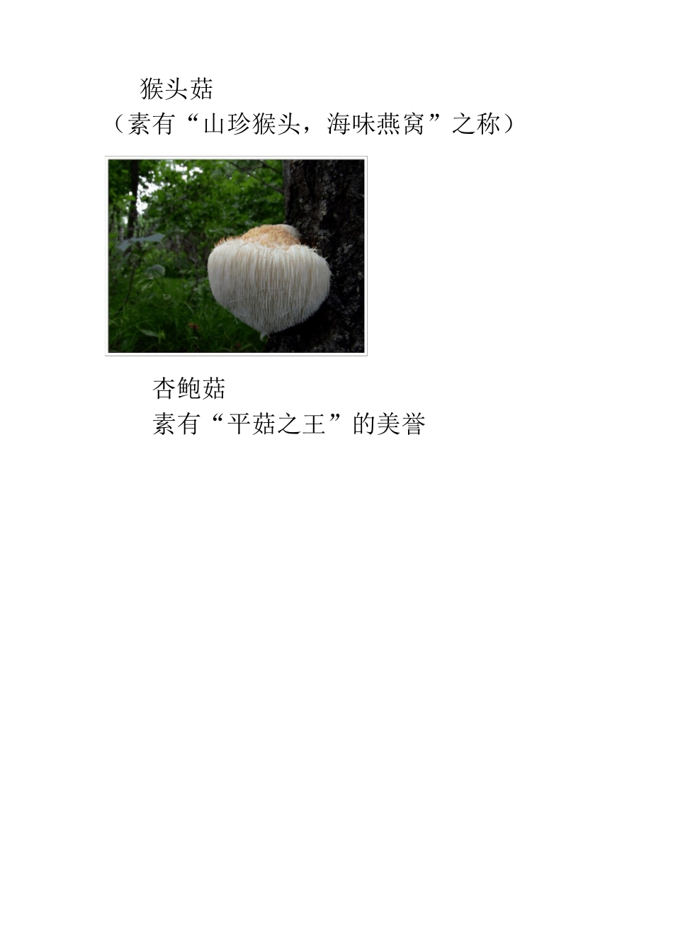 各类菌菇品种_第1页