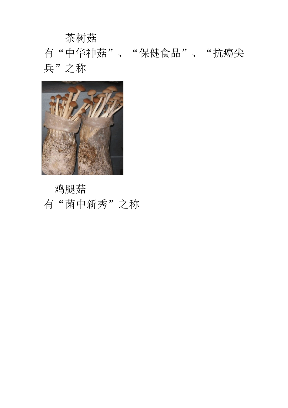 各类菌菇品种_第2页