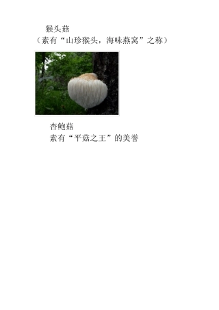 各类菌菇品种