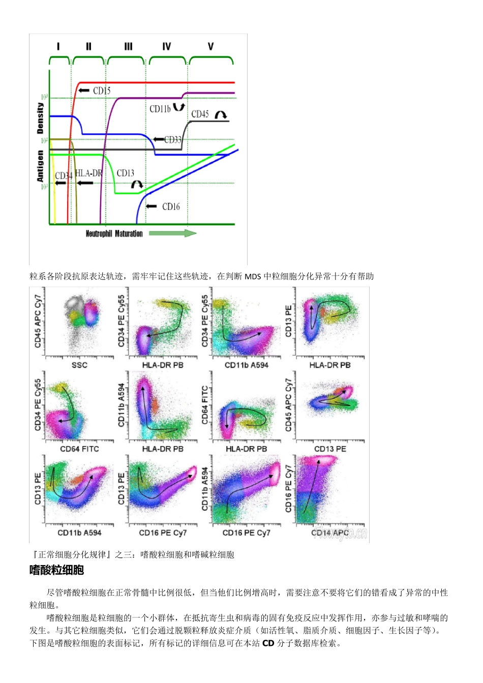 各系细胞正常抗原分化规律和散点图_第3页