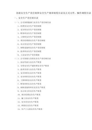 各级安全生产责任制、安全生产规章制度目录及正式文件、操作规程目录