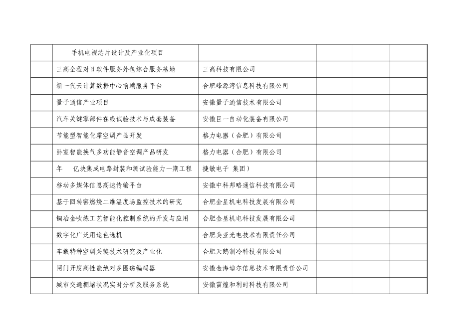 合肥电子信息产业重点项目(第一批)_第2页