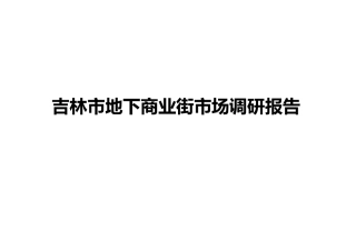 吉林市地下商业街市场调研报告