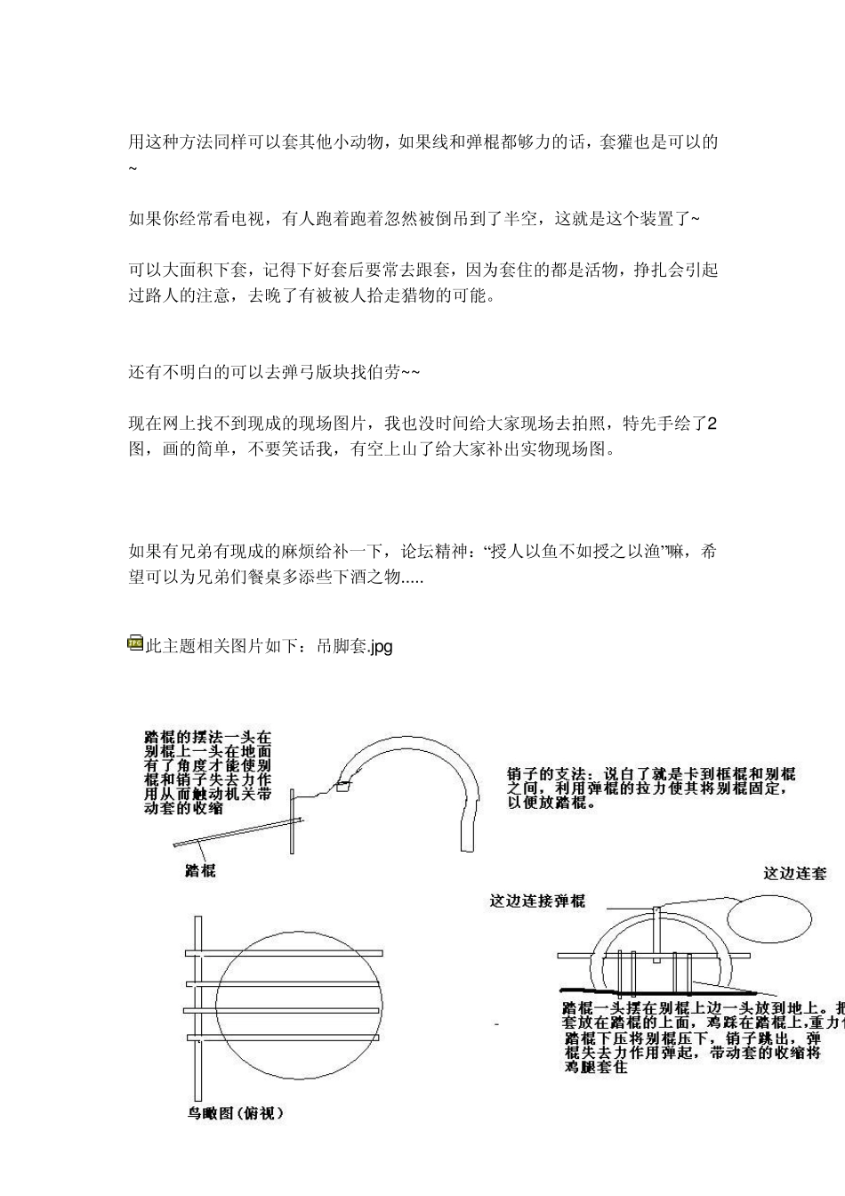 吊脚套的简单下套法_第3页