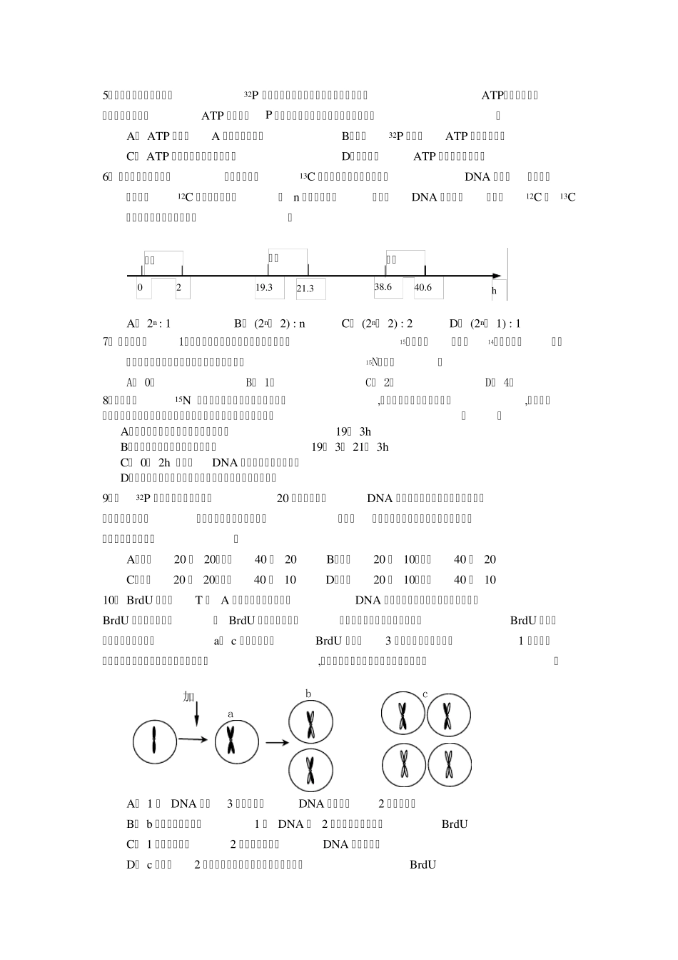 同位素标记法专题_第2页
