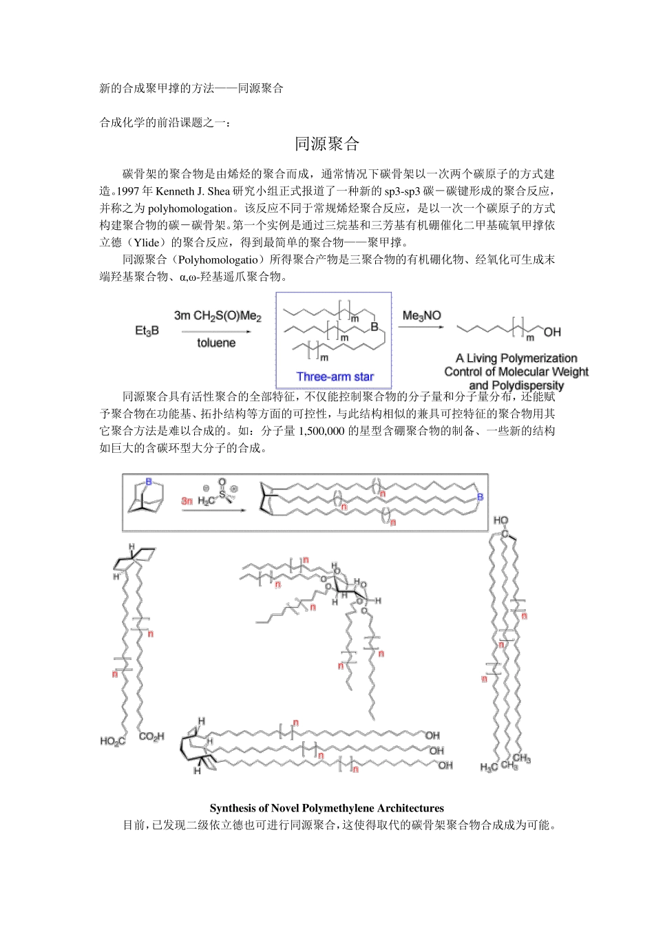 同源聚合2007高分子化学增补_第2页