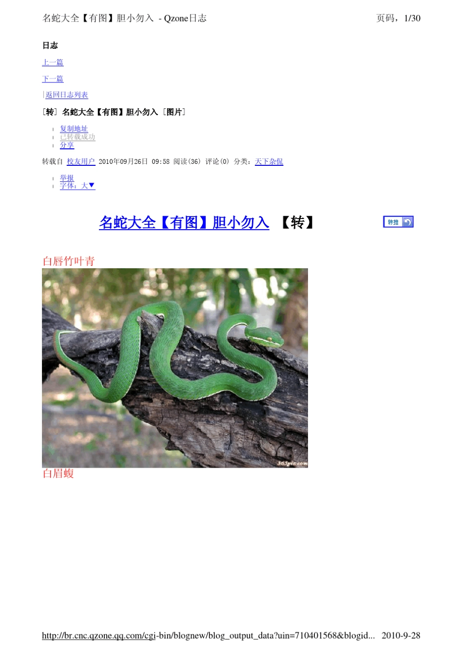 名蛇大全[有图]胆小勿入+_第1页