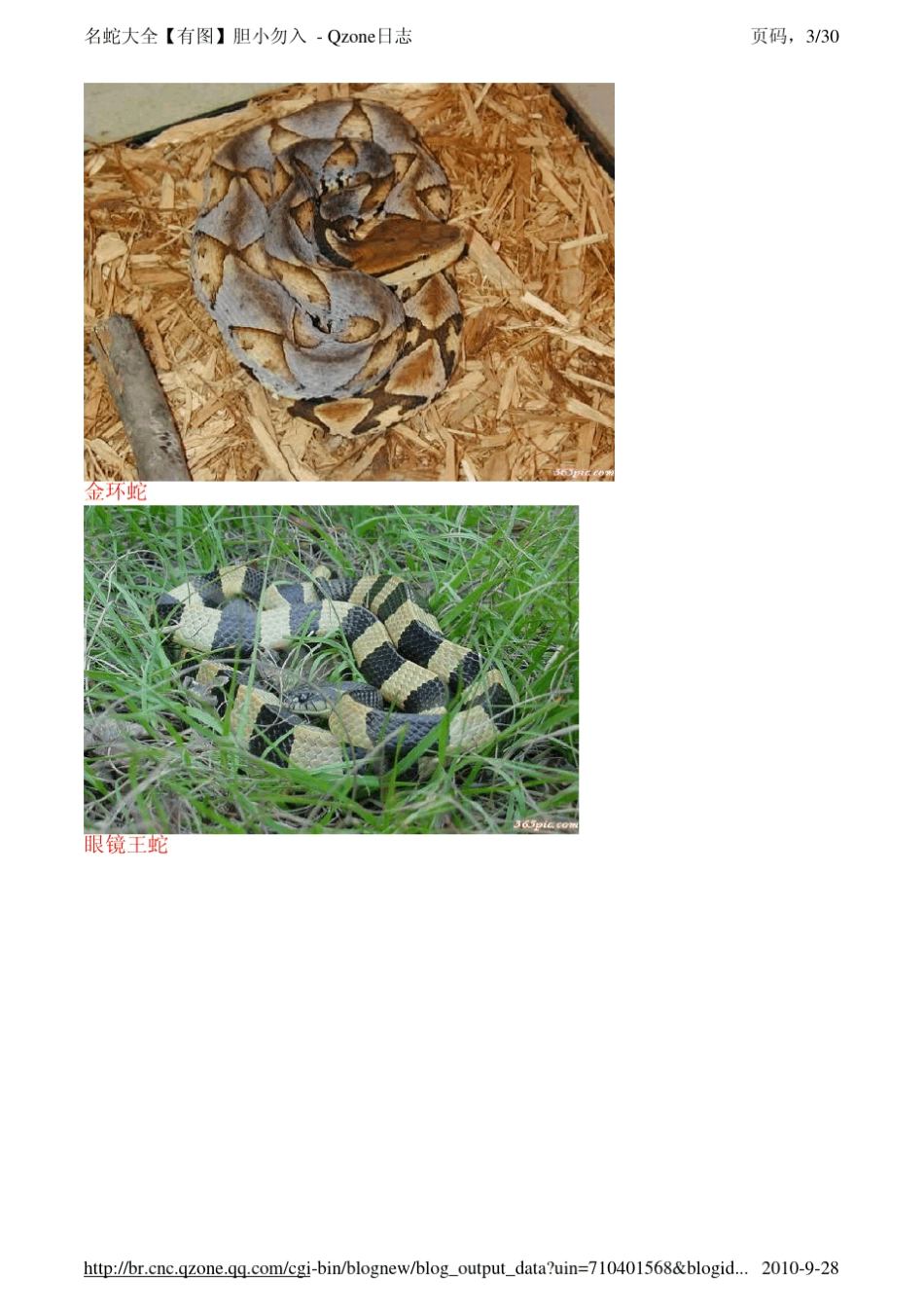 名蛇大全[有图]胆小勿入+_第3页