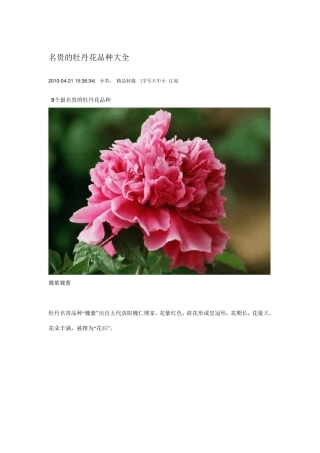 名贵的牡丹花品种大全