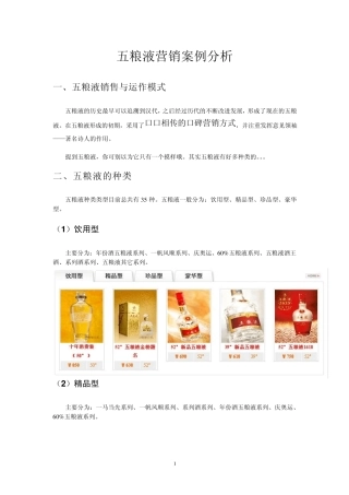 名酒五粮液营销案例分析