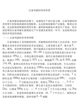 后备母猪的饲养管理