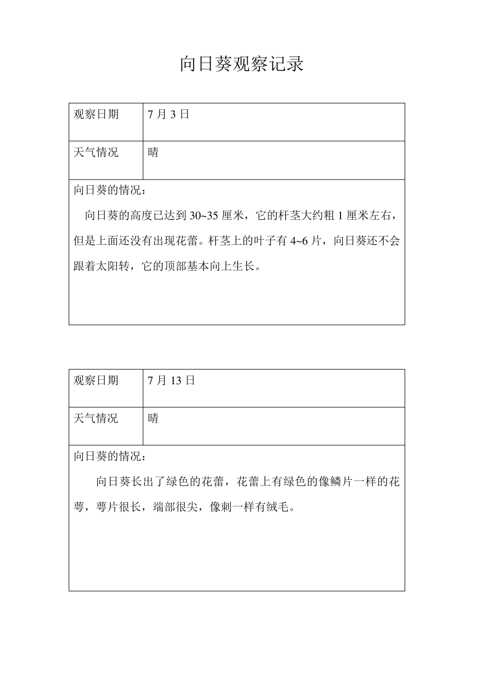 向日葵观察记录_第1页