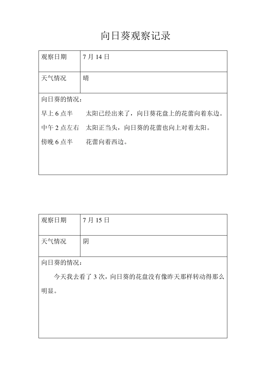 向日葵观察记录_第2页