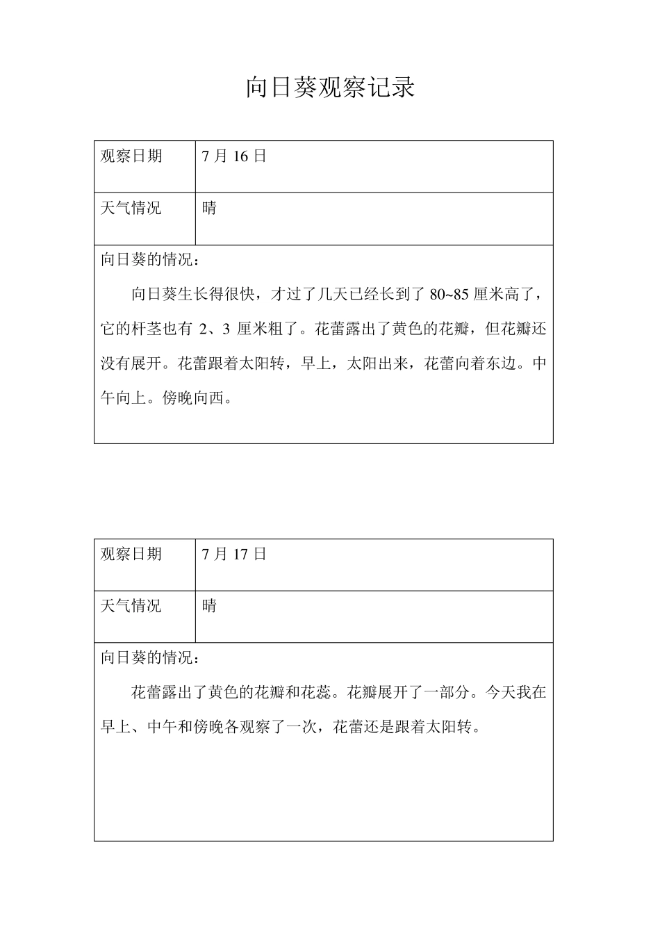 向日葵观察记录_第3页